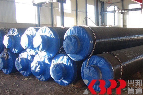 俄羅斯蒸汽輸送項目 俄羅斯蒸汽輸送項目