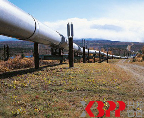 中國(guó)石油錦西石化工程防腐保溫管道項(xiàng)目 中國(guó)石油錦西石化工程防腐保溫管道項(xiàng)目