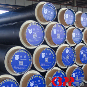 長沙市新能源利用改造項(xiàng)目